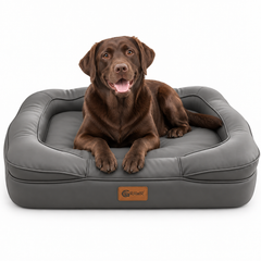 The Ultimate Dog Bed