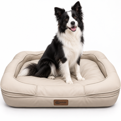 The Ultimate Dog Bed