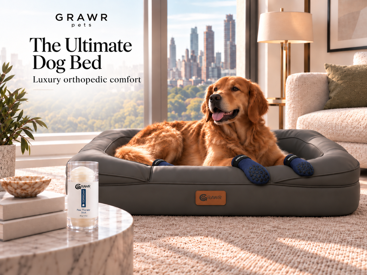 The Ultimate Dog Bed