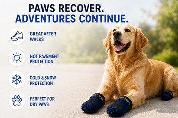 HYDROSOX Paw Care Kit | Moisture Proof Dog Socks + Paw Balm