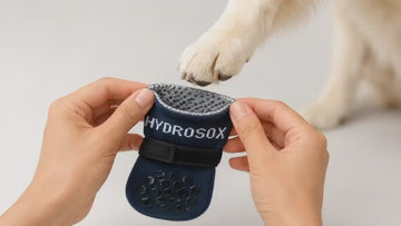 HYDROSOX Paw Care Kit | Moisture Proof Dog Socks + Paw Balm
