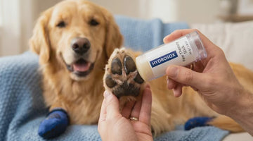 Hydrosox Paw Balm Stick