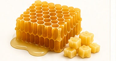 Beeswax honeycomb and wax cubes