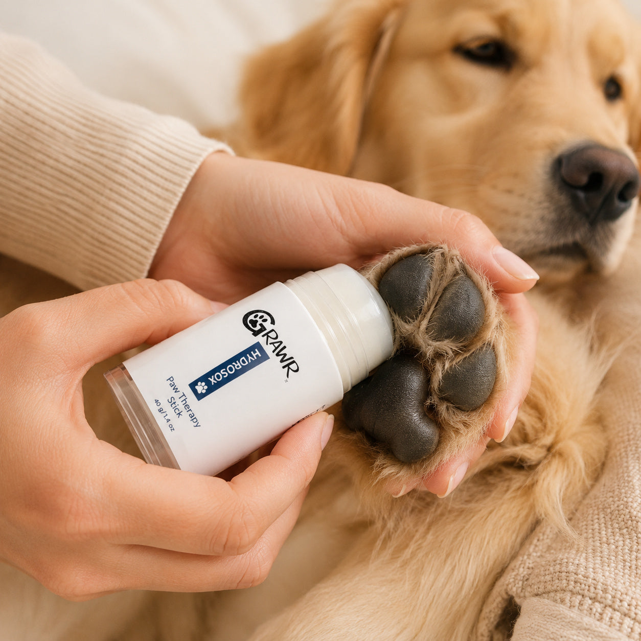 Applying Hydrosox Paw Therapy Stick to a dog paw