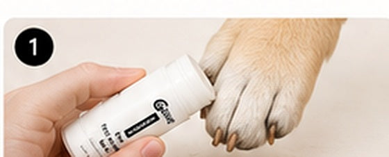 Applying Paw Therapy Stick to a dog paw