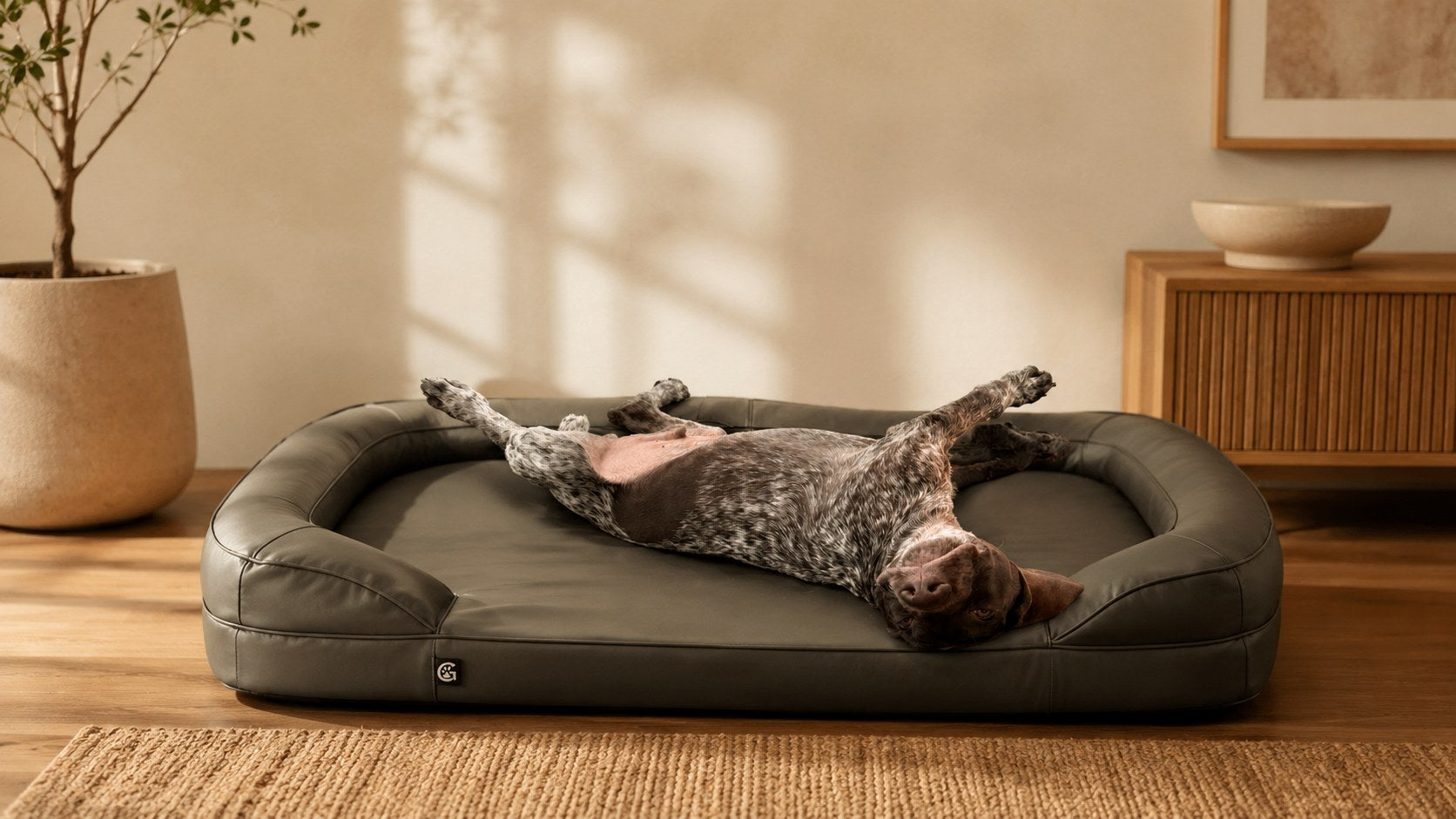 The Ultimate Dog Bed by GRAWR